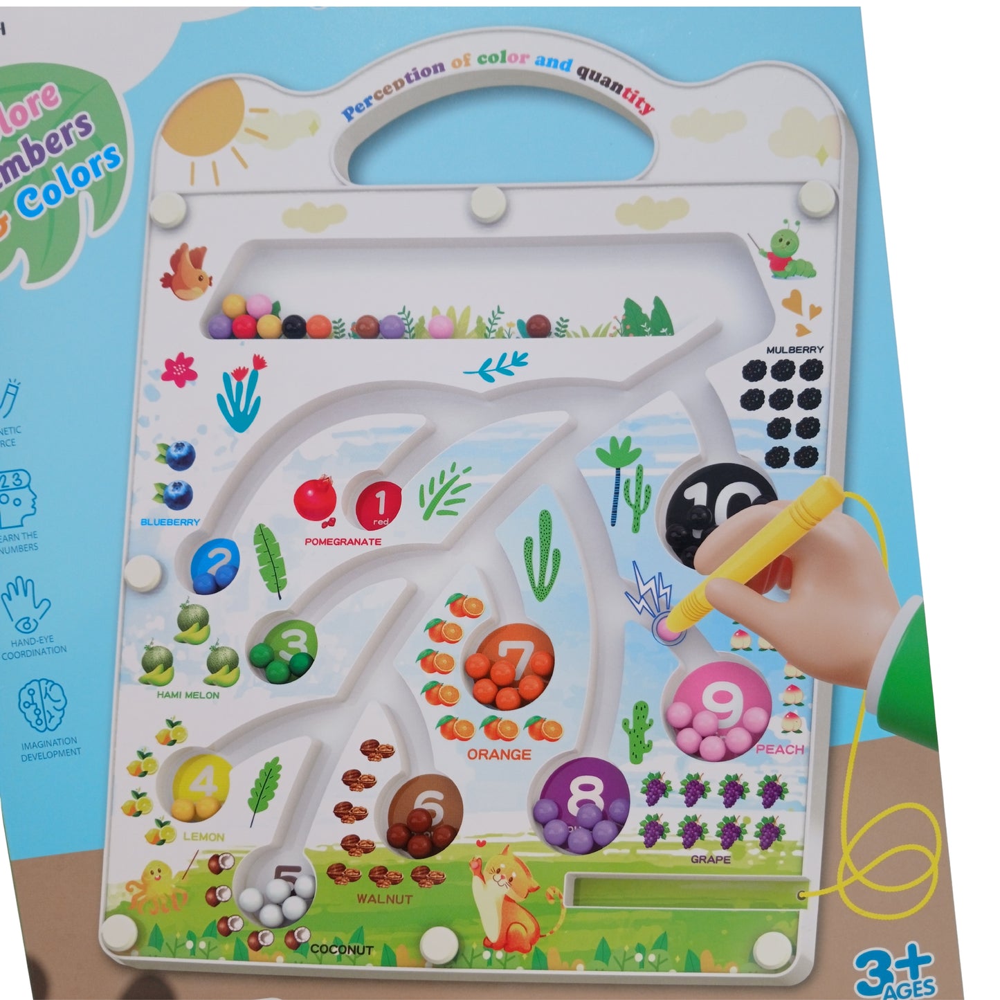 🧲🍎Magnetic Maze  Board Toy 🧠 | Numbers &amp; Colors Learning Game for Kids (3+ Years)