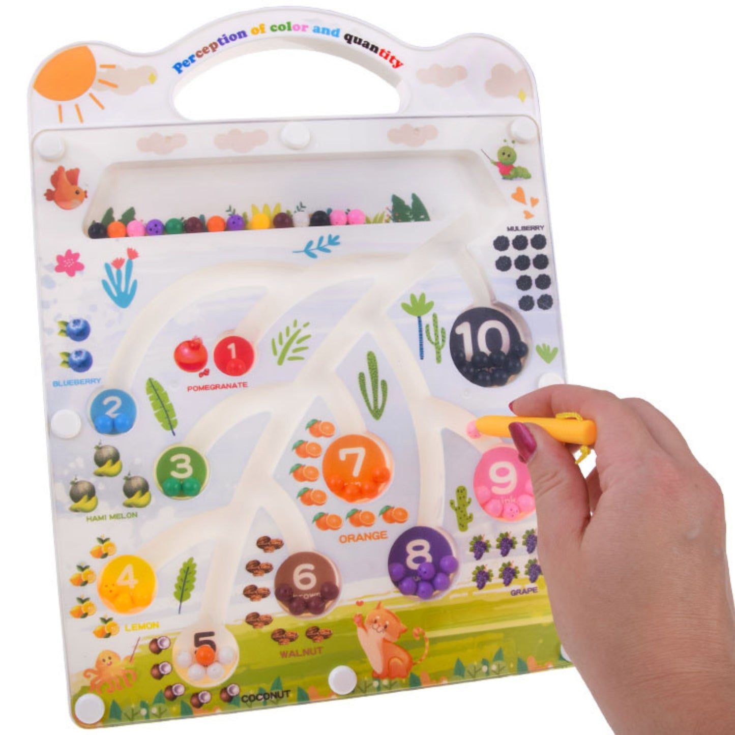 🧲🍎Magnetic Maze  Board Toy 🧠 | Numbers &amp; Colors Learning Game for Kids (3+ Years)