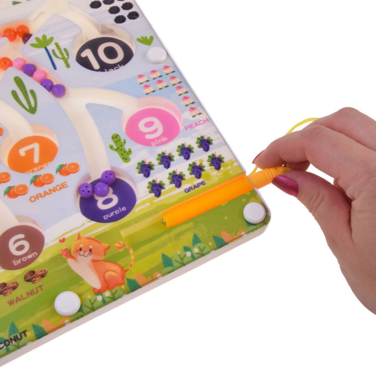 🧲🍎Magnetic Maze  Board Toy 🧠 | Numbers &amp; Colors Learning Game for Kids (3+ Years)