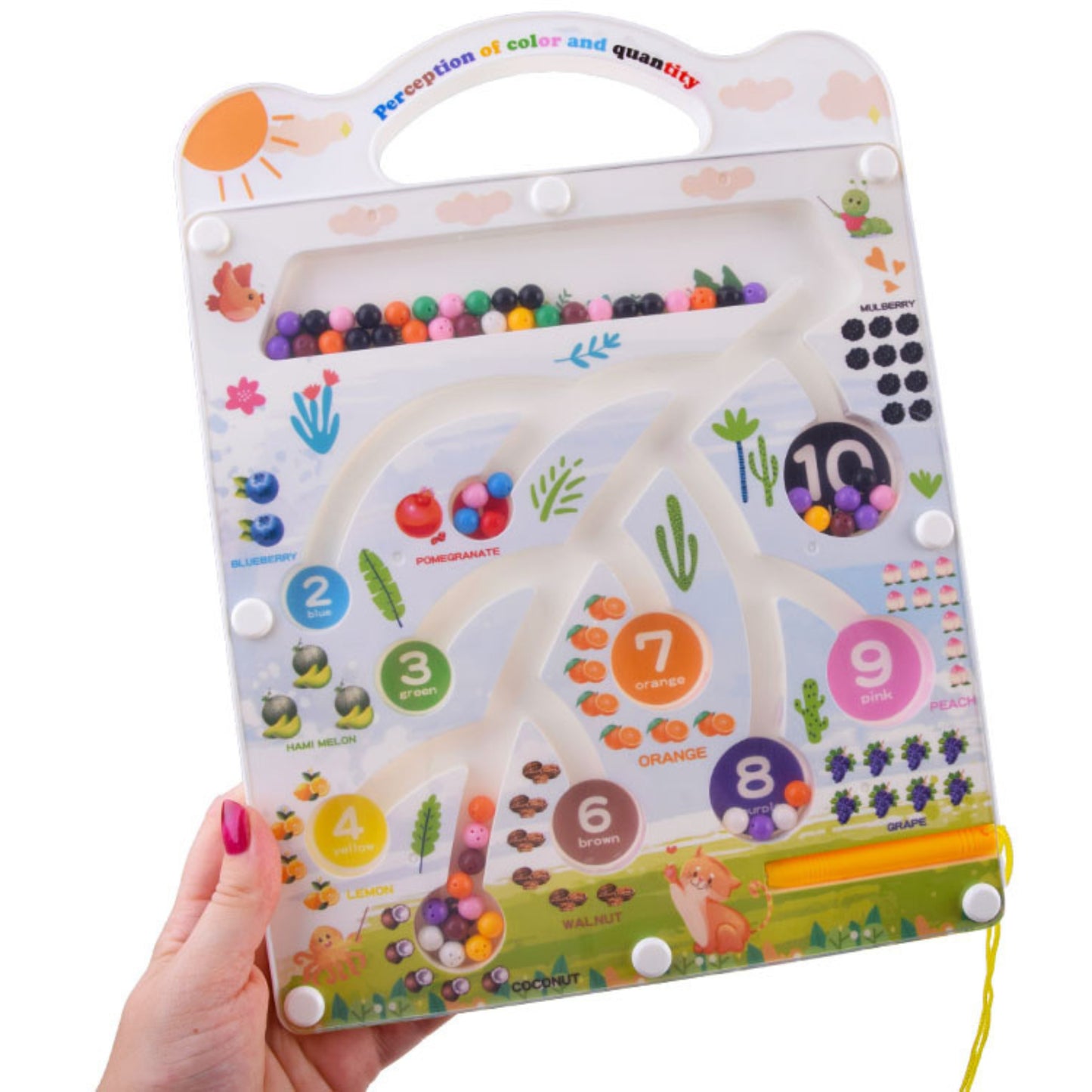 🧲🍎Magnetic Maze  Board Toy 🧠 | Numbers &amp; Colors Learning Game for Kids (3+ Years)